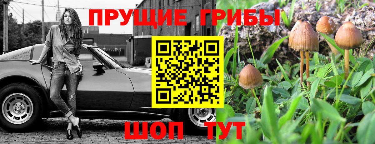 Псилоцибиновые грибы ЛСД Набережные Челны
