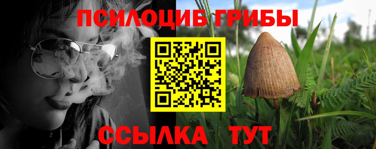 Набережные Челны  Галлюциногенные грибы Psilocybe  Вход с VPN 